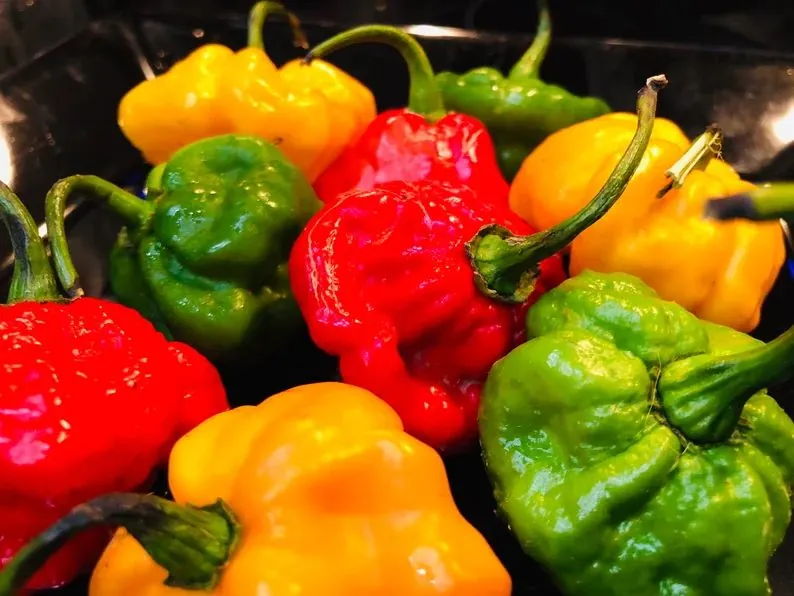 ¿Qué tan picante es la comida jamaicana? Una guía de picante