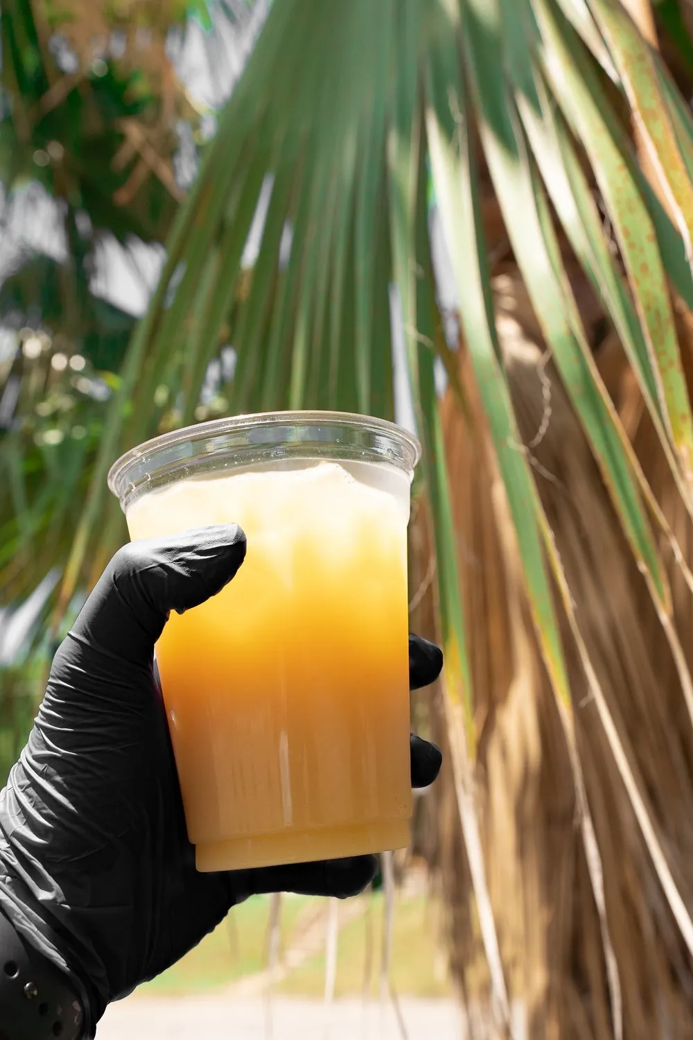 Fresh Drink: Pineapple & Ginger